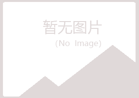 山西冰夏会计有限公司